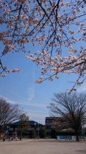 さくらと公園