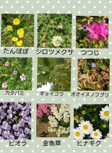 お花見ビンゴ